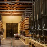 Wine Tasting Tour in Alcobaça